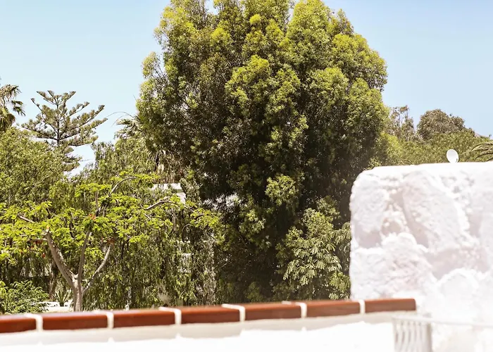 Sunny Terrace Chaparral Apartamento *