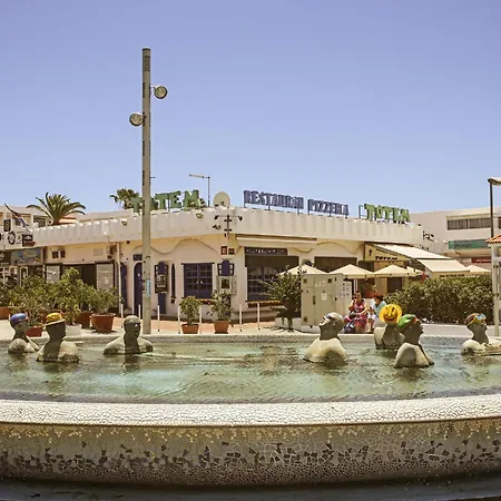 Sunny Terrace Chaparral *