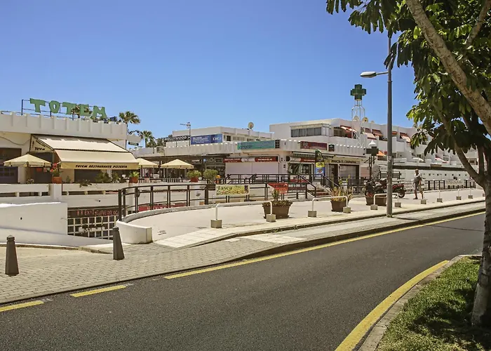 Sunny Terrace Chaparral *